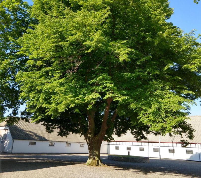 Photo of Others in Agernæs