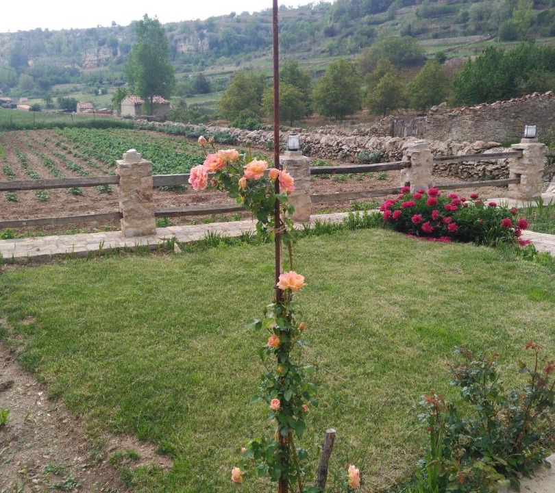 Photo of Others in Villafranca del Cid