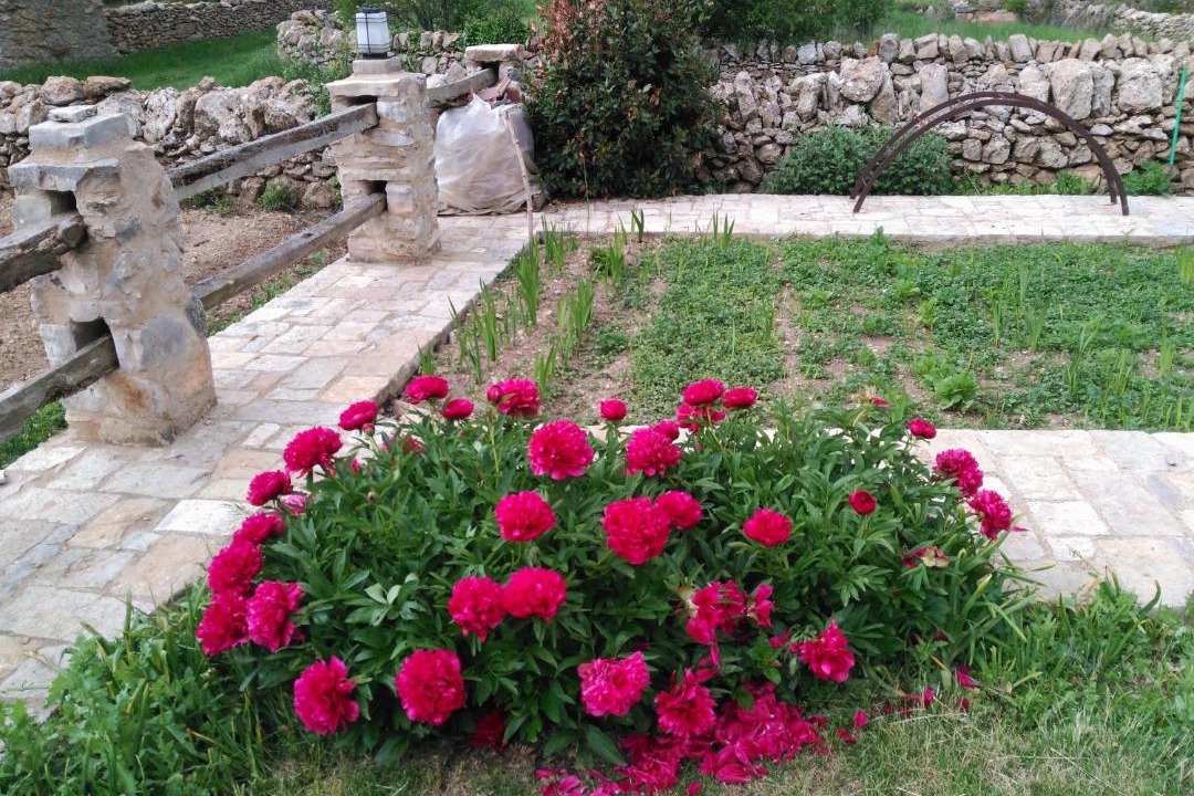 Photo of Others in Villafranca del Cid