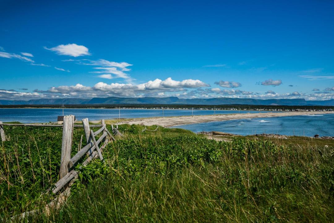Photo of Outdoor in Cow Head