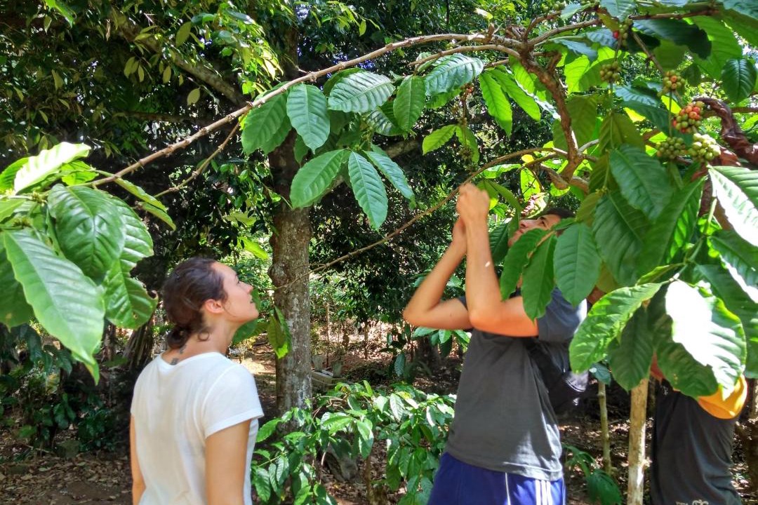 Photo of Others in Banyuwangi