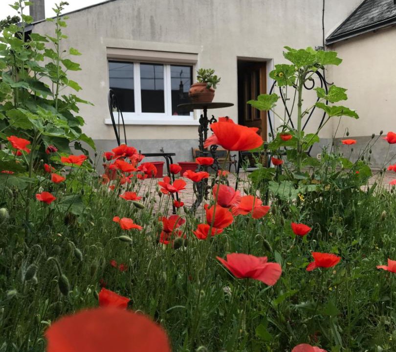 Photo of Others in Meung-sur-Loire