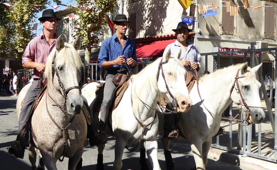 Photo of Others in Fontvieille