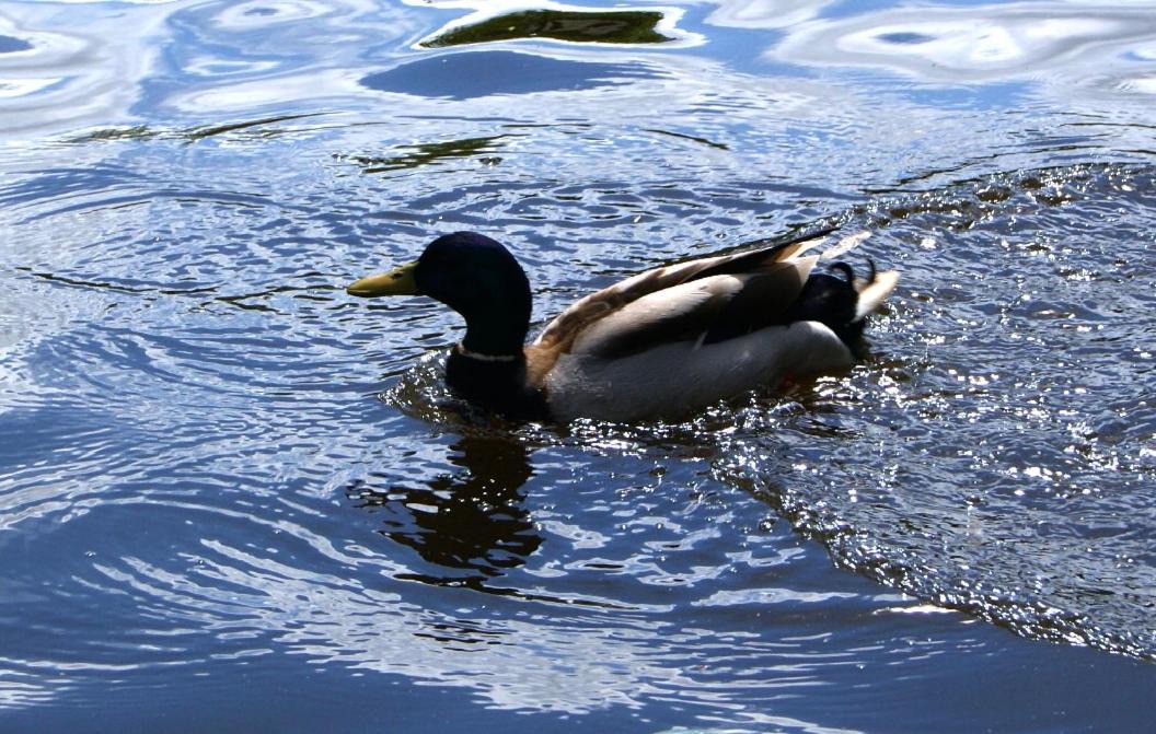 Photo of Others in Waldeck-Sully