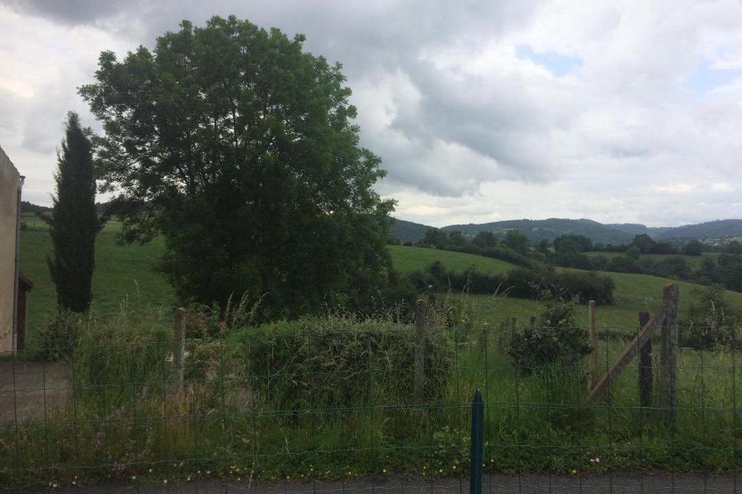 Photo of Others in Vergongheon