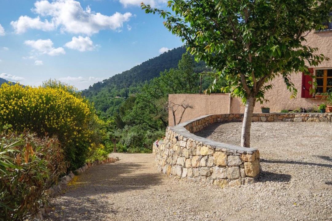 Photo of Others in Bargemon