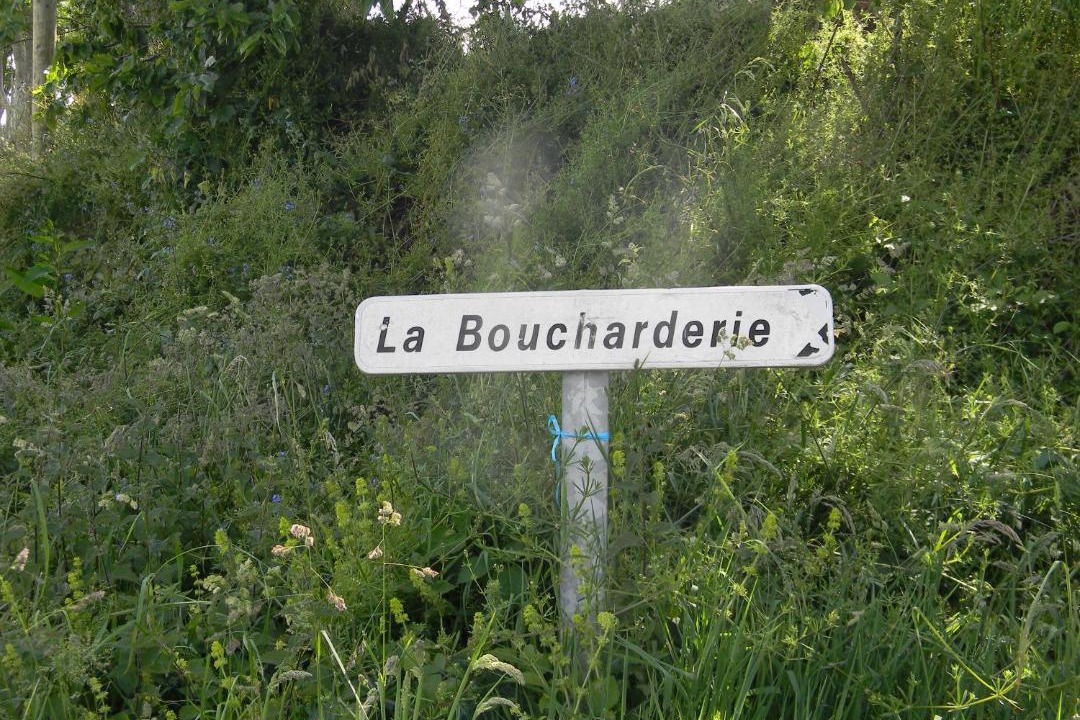 Photo of Others in Bazouges-la-Perouse