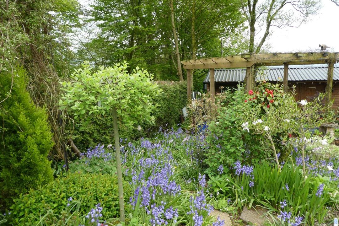 Photo of Others in Bratton Fleming