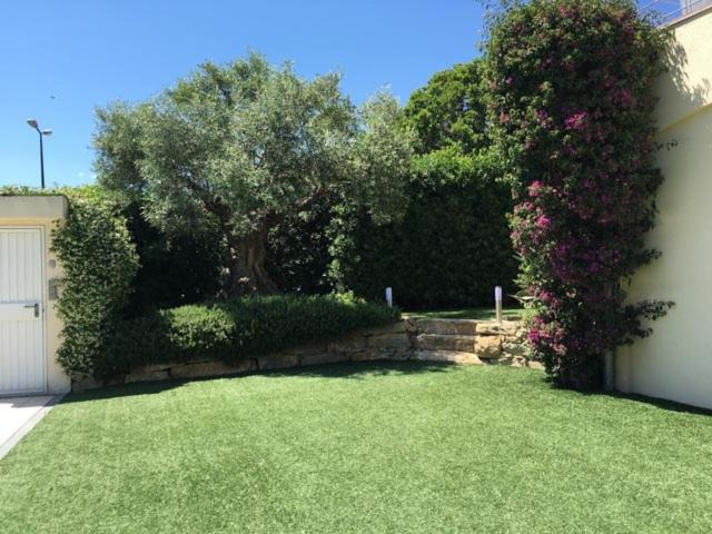 Photo of Others in Sainte-Maxime City Centre