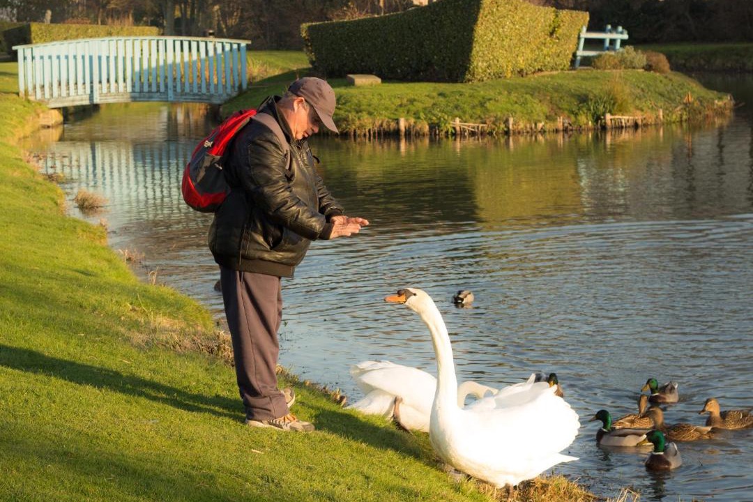 Photo of Others in Honfleur