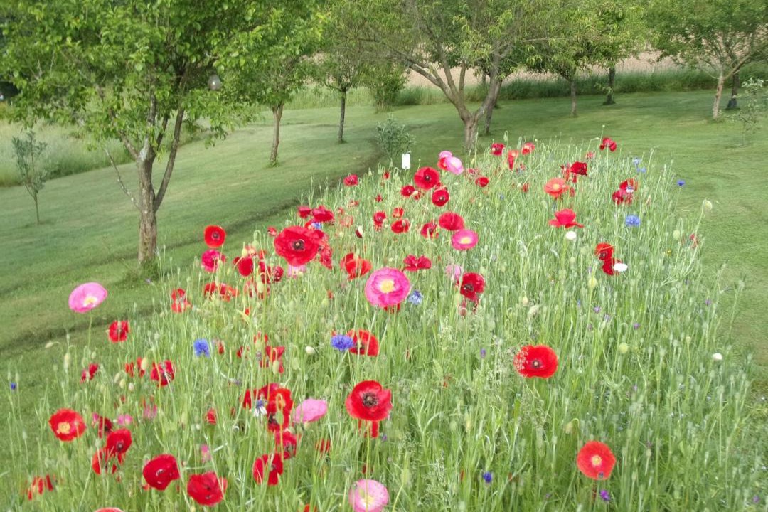 Photo of Others in Sainte-Anne-Saint-Priest