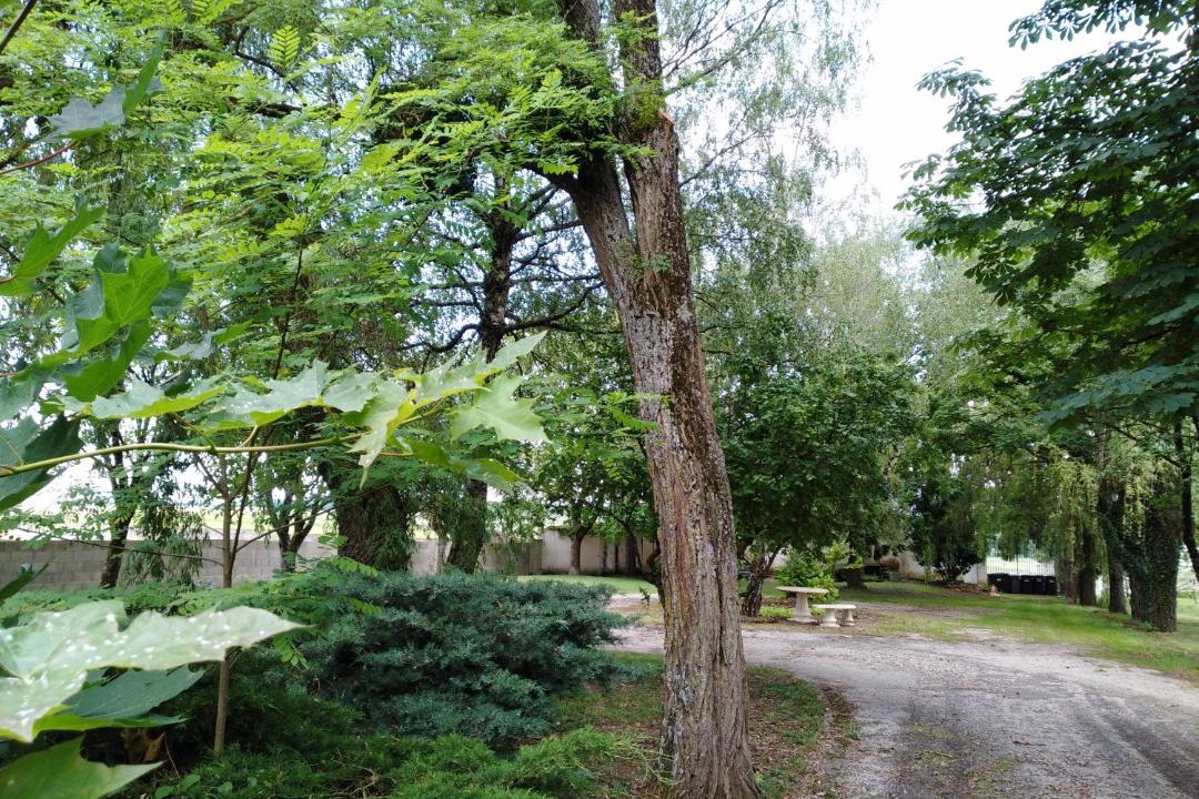 Photo of Others in Ladoix-Serrigny