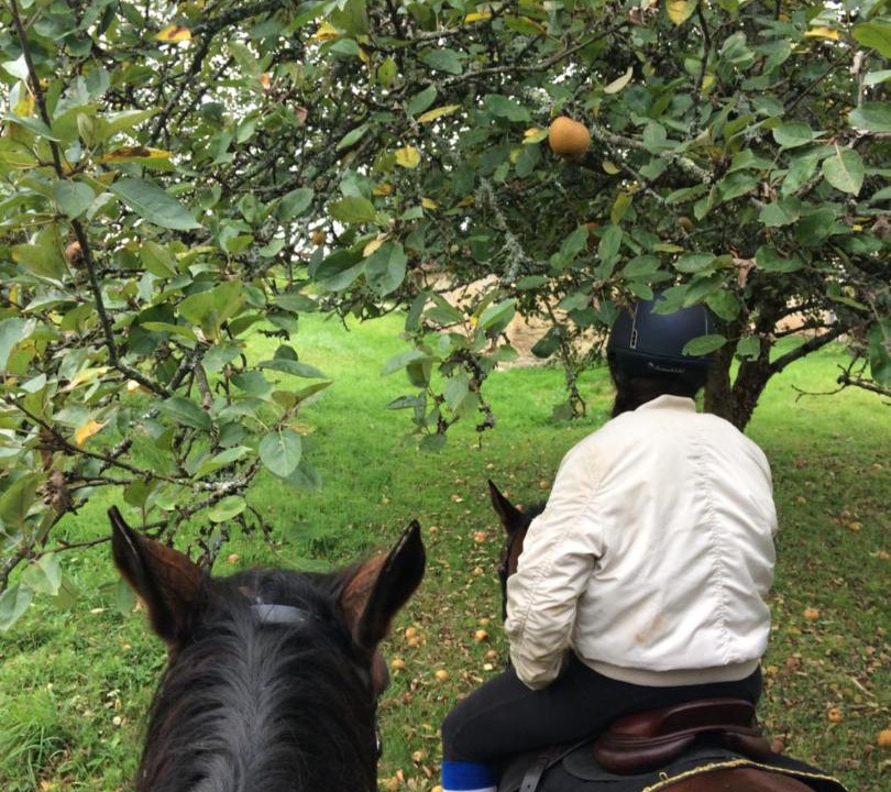 Photo of Others in Lanouaille