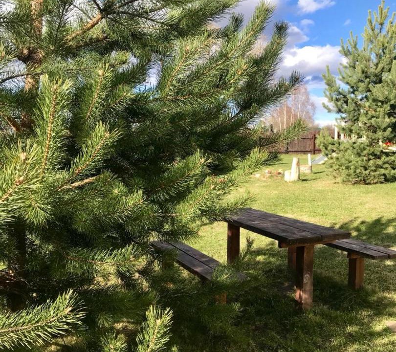 Photo of Others in Prislon