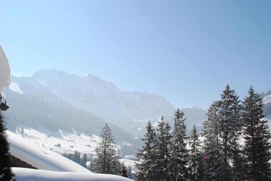 Photo of Others in Adelboden