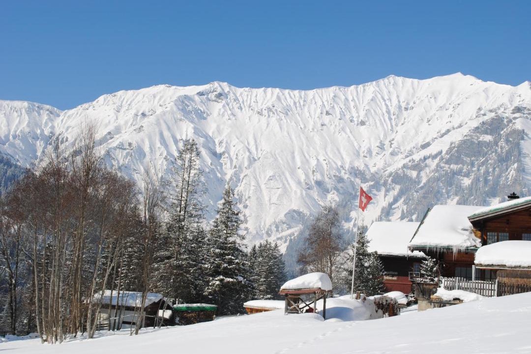 Photo of Others in Adelboden