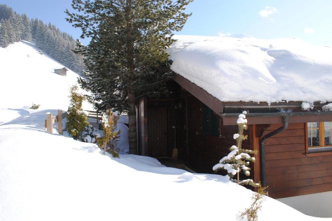Photo of Others in Adelboden