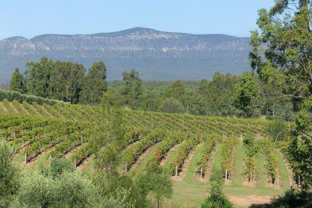 Photo of Others in Pokolbin