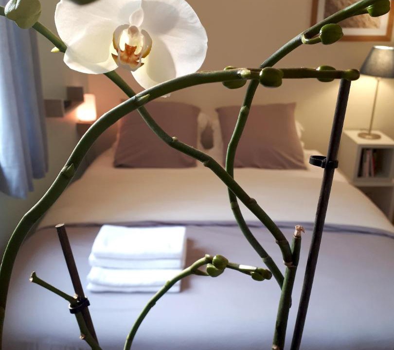 Photo of Others in Saint-Omer