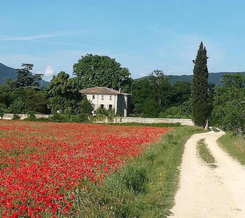 Photo of Others in Saulce-sur-Rhone