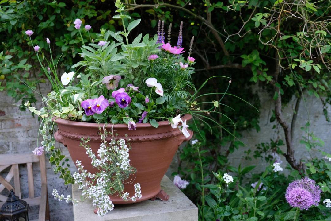 Photo of Others in Chelsea