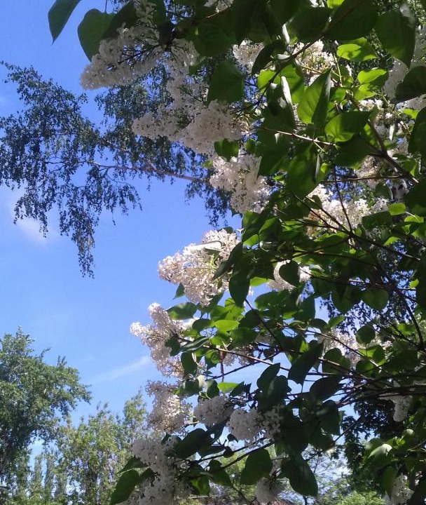 Photo of Outdoor in Nizhniy Novgorod City Centre