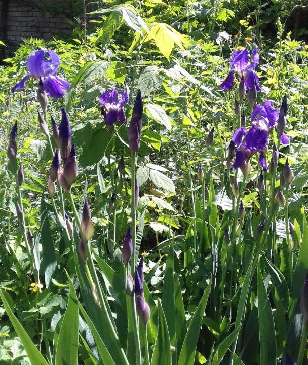 Photo of Others in Nizhniy Novgorod City Centre