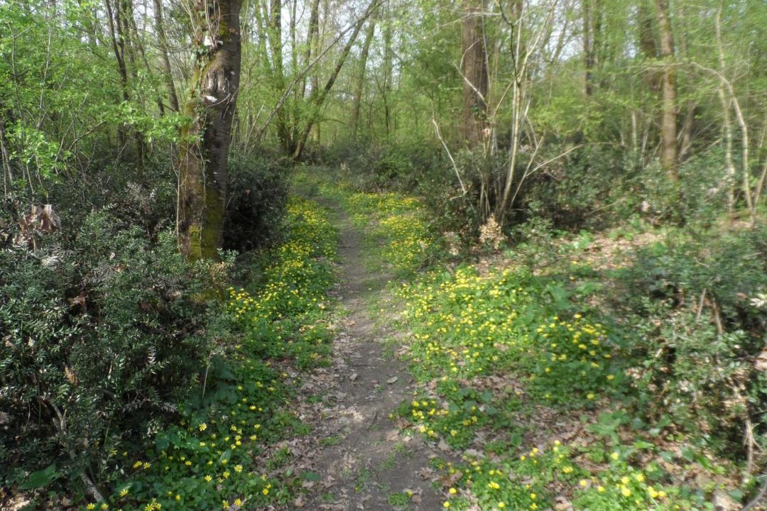 Photo of Outdoor in Noyant-Villages