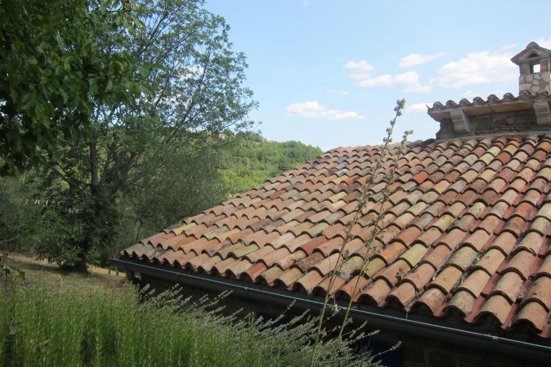 Photo of Buildings in Groznjan