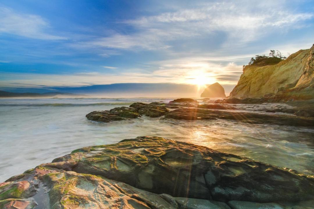 Photo of Others in Pacific City