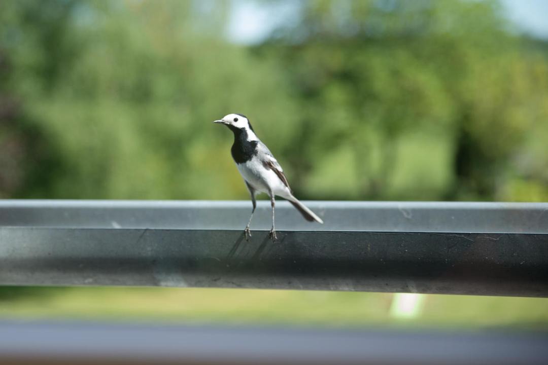 Photo of Others in Vauxaillon