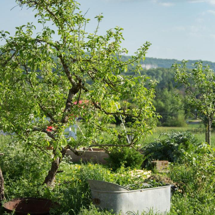 Photo of Outdoor in Saint Sozy