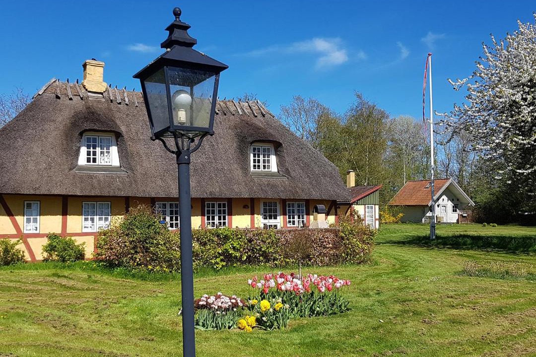 Photo of Buildings in Hov