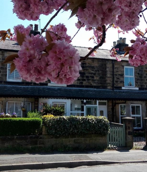 Photo of Others in Harrogate