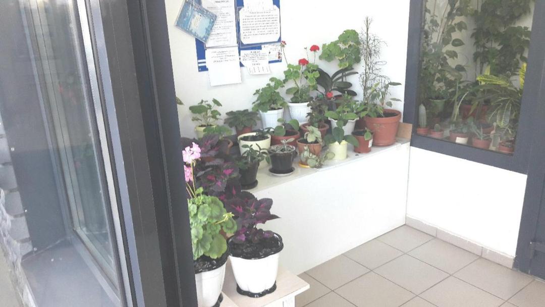 Photo of Others in Novo-Savinovskiy