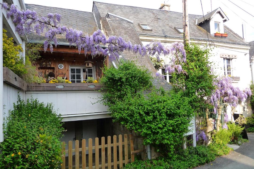 Photo of Others in Chouze-sur-Loire