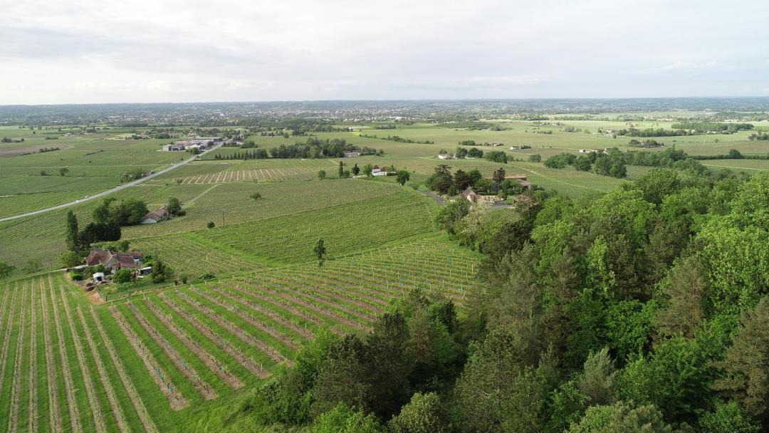 Photo of Others in Monbazillac