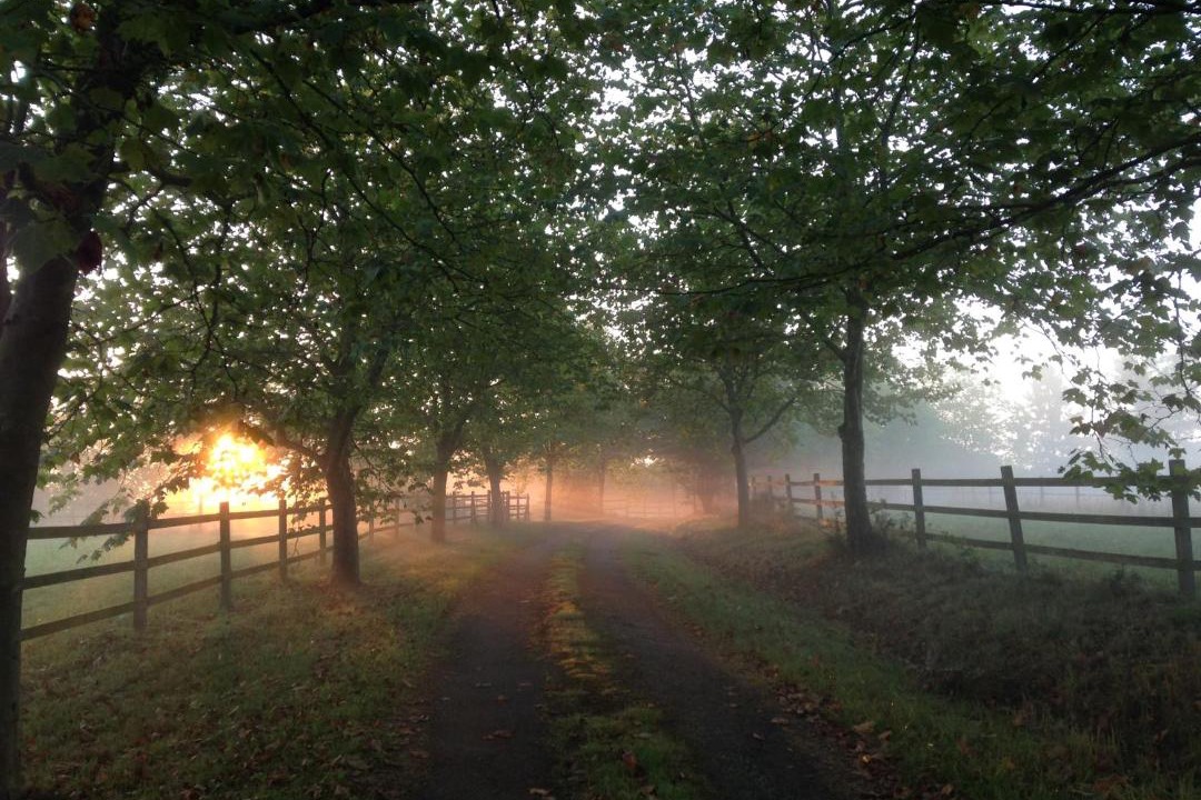 Photo of Outdoor in Leugny