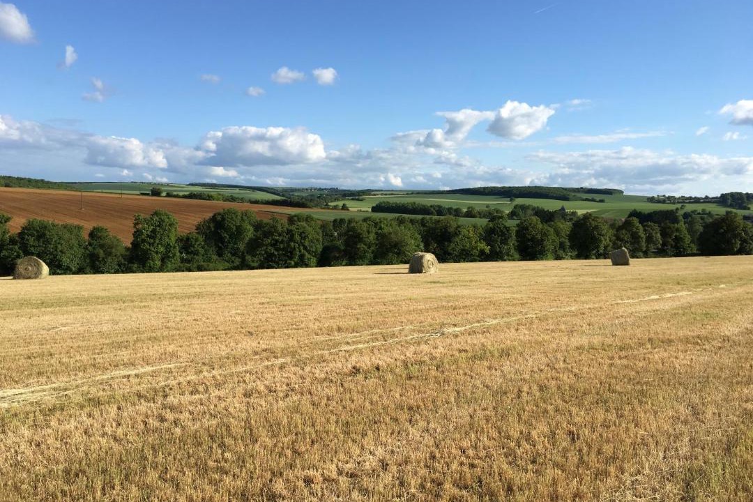 Photo of Others in Leugny