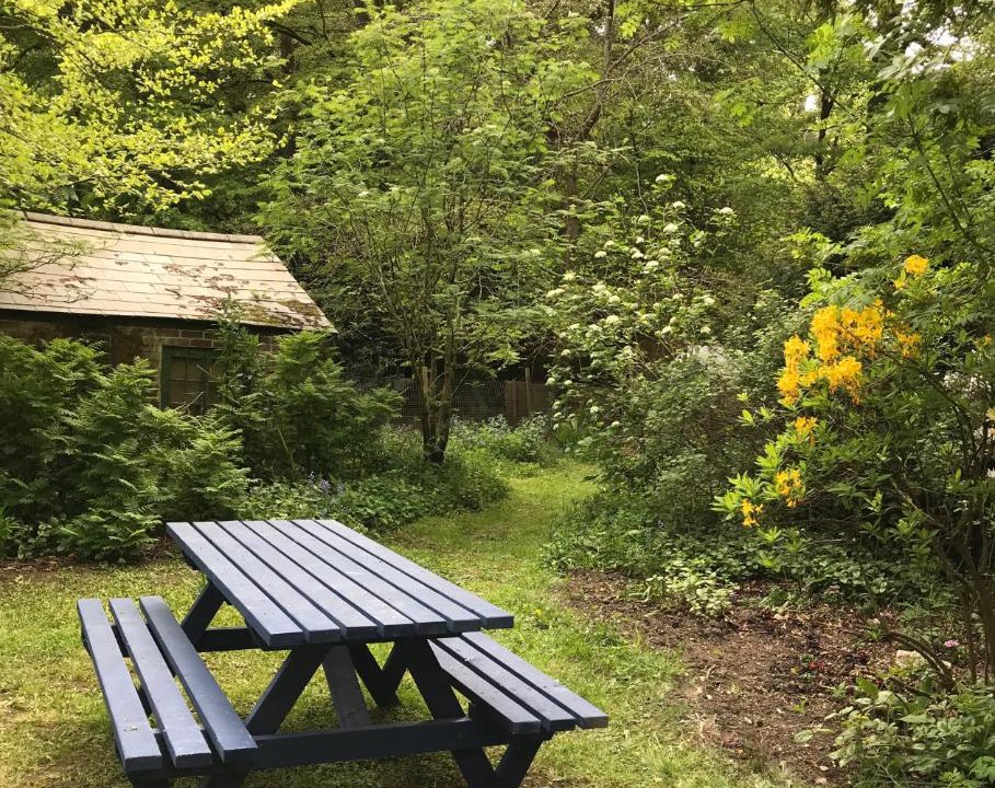 Photo of Others in New Forest District