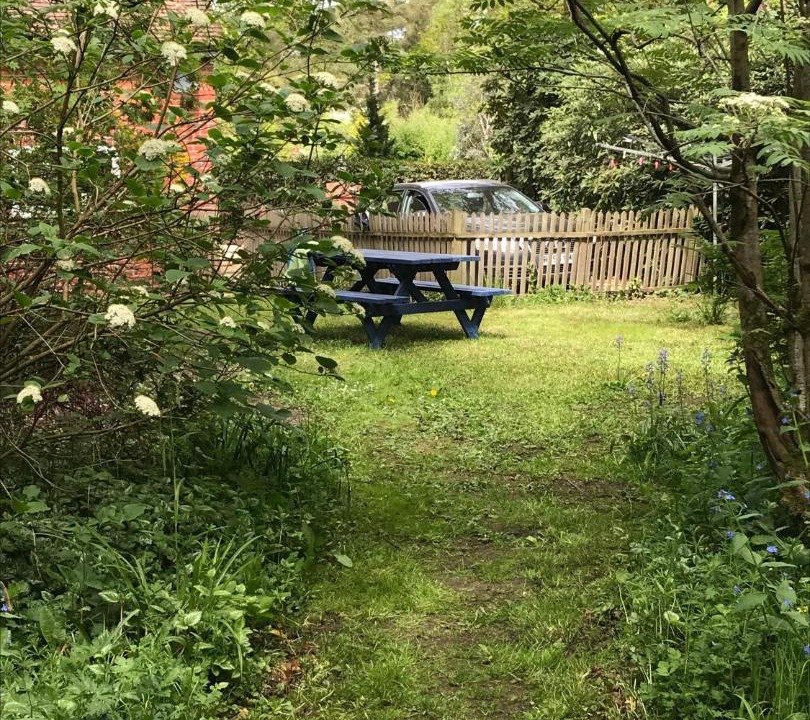 Photo of Others in New Forest District