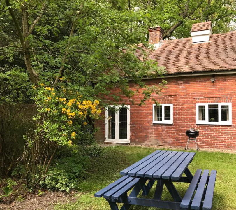 Photo of Buildings in New Forest District