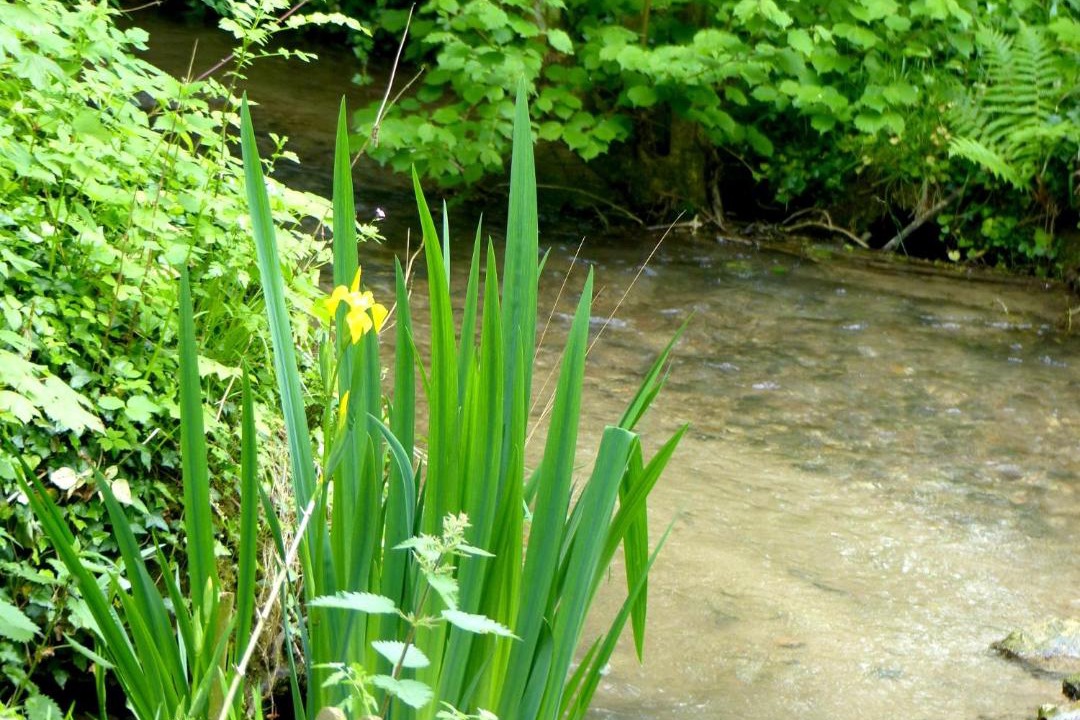 Photo of Others in Canaples