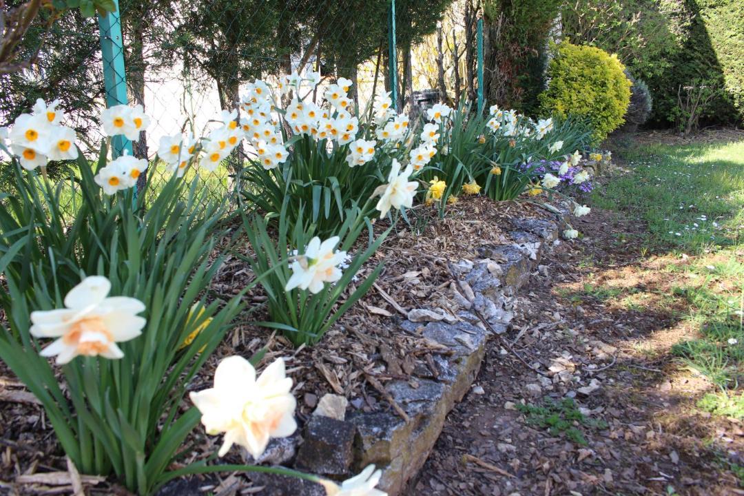 Photo of Outdoor in Nolay