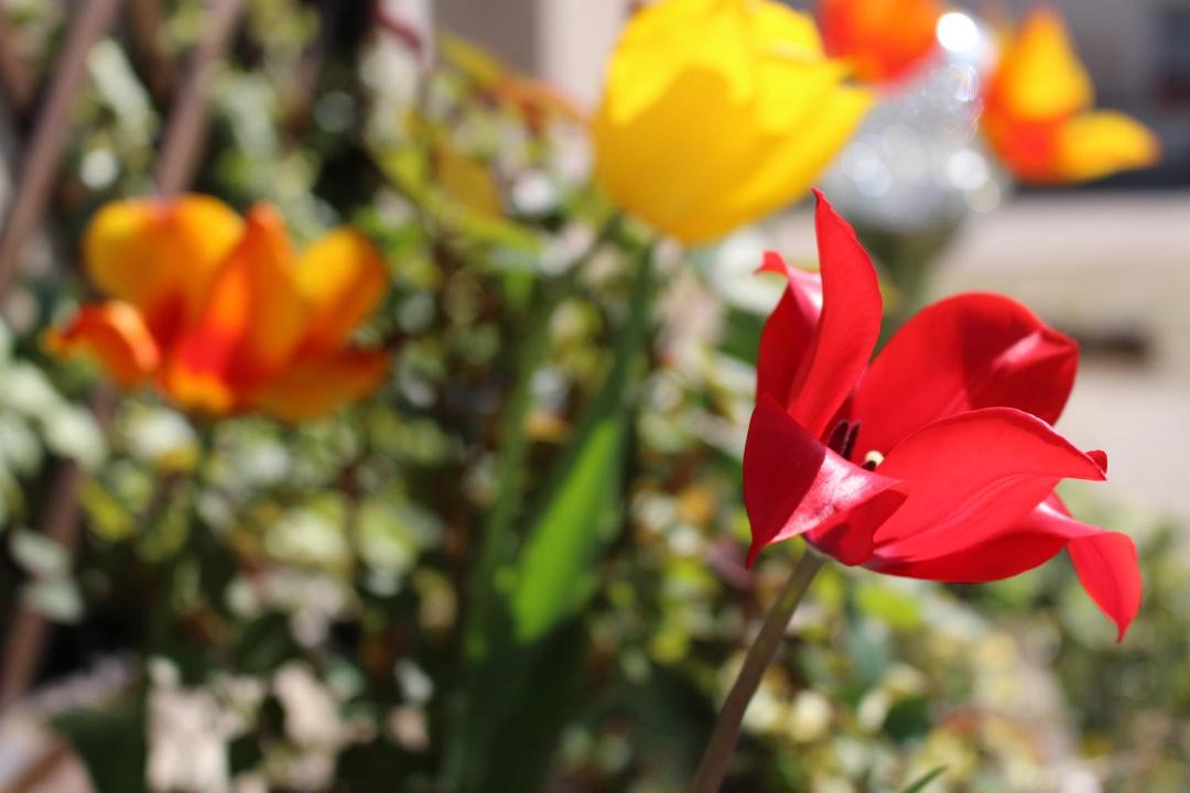 Photo of Outdoor in Nolay