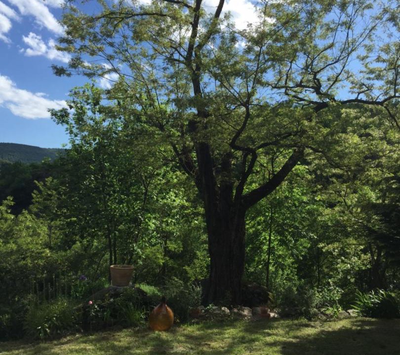 Photo of Others in Aumessas