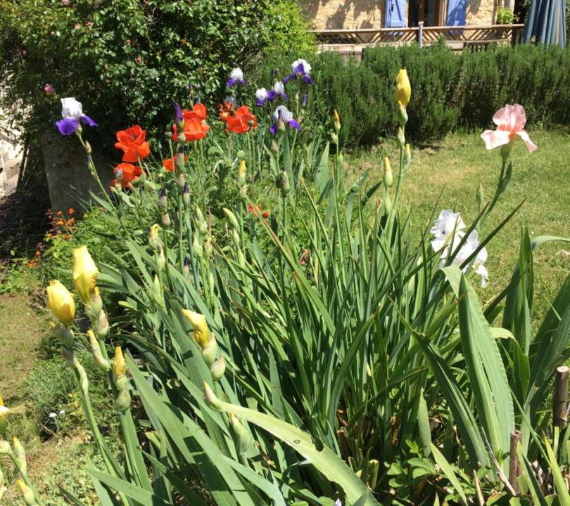 Photo of Others in Payrac