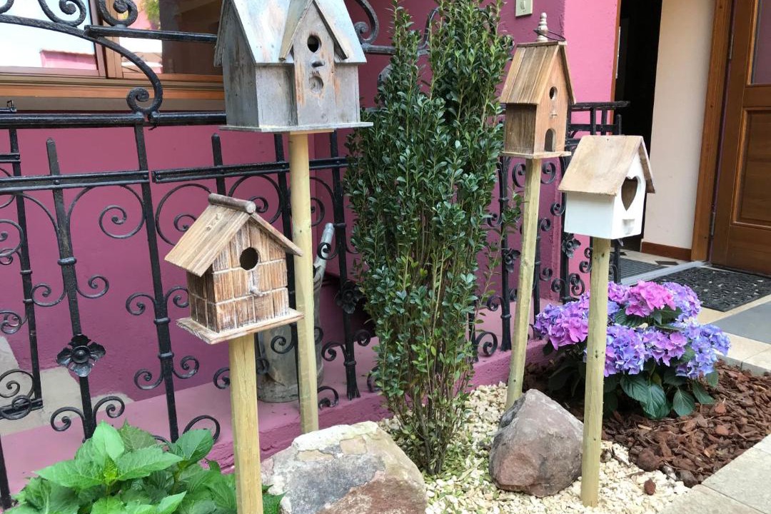 Photo of Others in Chatenois