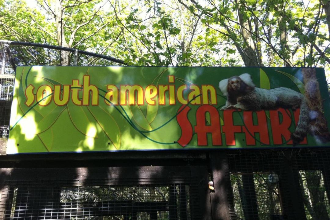 Photo of Others in Tewitfield