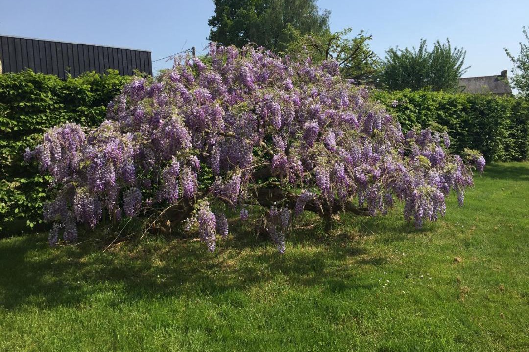 Photo of Outdoor in Plescop